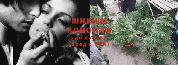 соль ск Белокуриха
