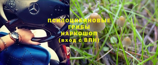 соль ск Белокуриха